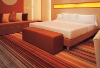 hotel_carpet_029